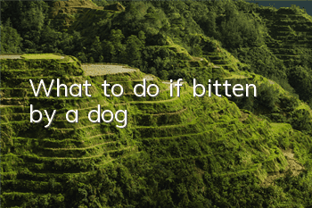 What to do if bitten by a dog