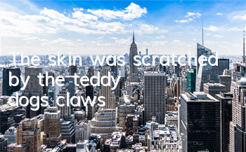 The skin was scratched by the teddy dog's claws