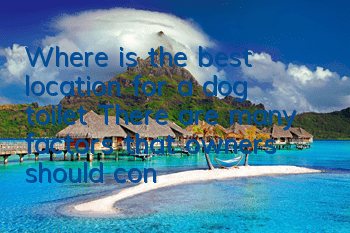 Where is the best location for a dog toilet? There are many factors that owners should consider.