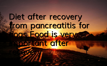 Diet after recovery from pancreatitis for dogs Food is very important after recovery