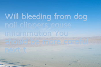 Will bleeding from dog nail clippers cause inflammation? You should be more careful next time you cut it!