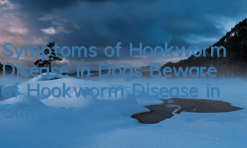 Symptoms of Hookworm Disease in Dogs Beware of Hookworm Disease in Summer!