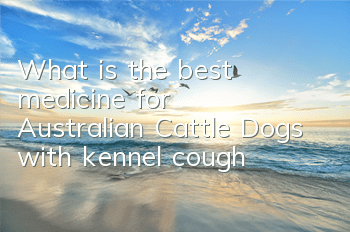 TWhat is the best medicine for Australian Cattle Dogs with kennel cough?