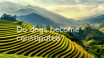 TDo dogs become constipated?