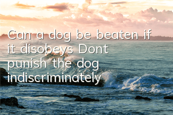 Can a dog be beaten if it disobeys? Don’t punish the dog indiscriminately!