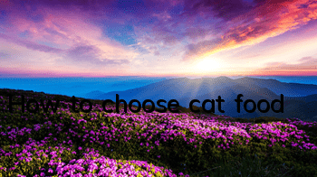 How to choose cat food