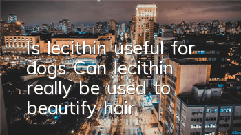 Is lecithin useful for dogs? Can lecithin really be used to beautify hair?