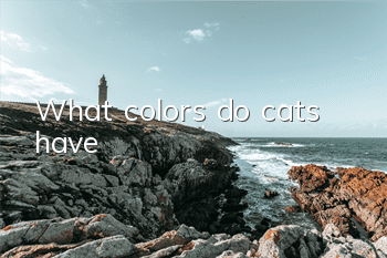 What colors do cats have?