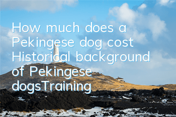 How much does a Pekingese dog cost? Historical background of Pekingese dogs_Training