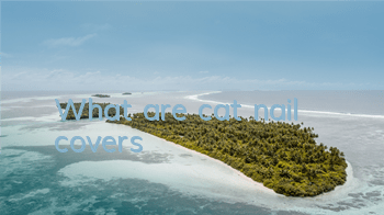 What are cat nail covers?
