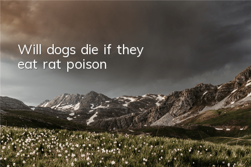 Will dogs die if they eat rat poison?