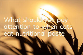 What should you pay attention to when cats eat nutritional paste?