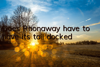 Does Rhonaway have to have its tail docked?