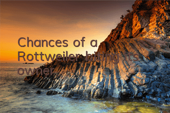 Chances of a Rottweiler biting its owner