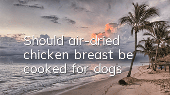 Should air-dried chicken breast be cooked for dogs?