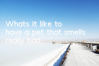 What's it like to have a pet that smells really bad?