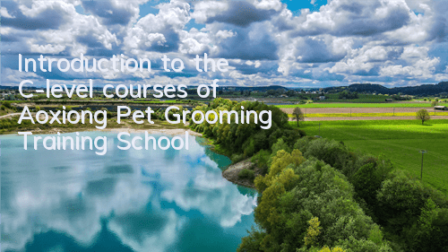 Introduction to the C-level courses of Aoxiong Pet Grooming Training School