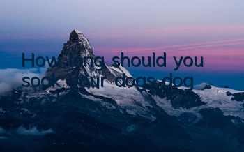 How long should you soak your dog’s dog food?
