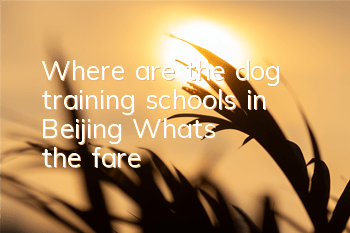 Where are the dog training schools in Beijing? What's the fare?