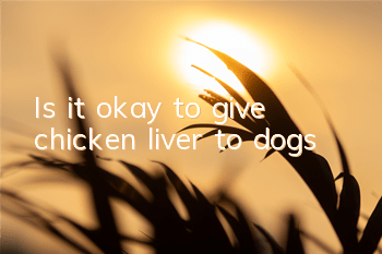 Is it okay to give chicken liver to dogs?