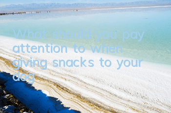What should you pay attention to when giving snacks to your dog?