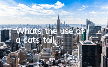 What's the use of a cat's tail?