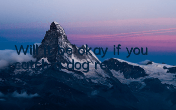 Will it be okay if you catch a dog red?