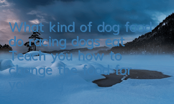 What kind of dog food do racing dogs eat? Teach you how to change the food for your dog