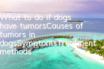 What to do if dogs have tumors_Causes of tumors in dogs_Symptoms_Treatment methods