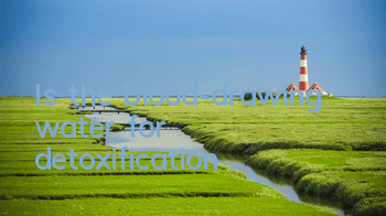 Is the blood-drawing water for detoxification?