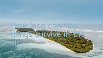 THow long can tiny things survive in the air?