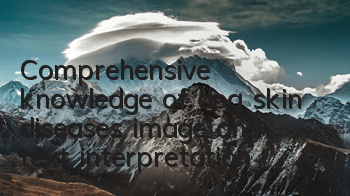 Comprehensive knowledge of dog skin diseases (image and text interpretation)