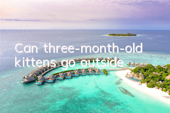 Can three-month-old kittens go outside?