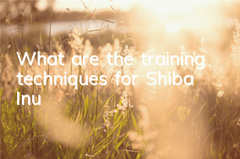 TWhat are the training techniques for Shiba Inu?