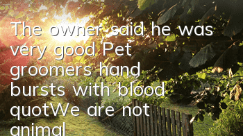 The owner said he was very good! Pet groomer's hand bursts with blood: "We are not animal trainers"