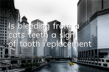 Is bleeding from a cat’s teeth a sign of tooth replacement?