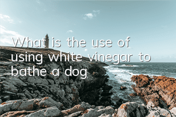 What is the use of using white vinegar to bathe a dog?