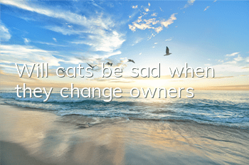 Will cats be sad when they change owners?
