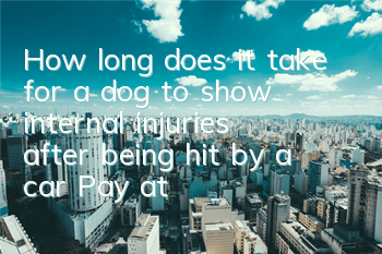 How long does it take for a dog to show internal injuries after being hit by a car? Pay attention to your dog when crossing the road and don’t patronize yourself.