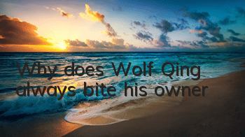Why does Wolf Qing always bite his owner?