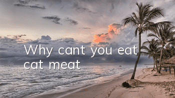 Why can’t you eat cat meat?