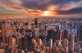 Does high-priced dog food necessarily mean good dog food?