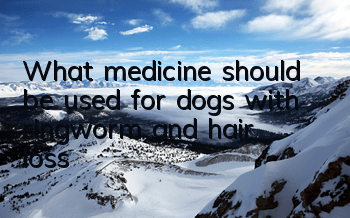 What medicine should be used for dogs with ringworm and hair loss?