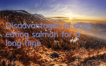 Disadvantages of dogs eating salmon for a long time
