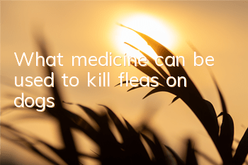 What medicine can be used to kill fleas on dogs?