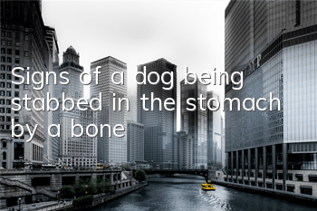 Signs of a dog being stabbed in the stomach by a bone
