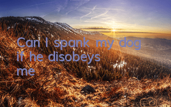 Can I spank my dog ​​if he disobeys me?