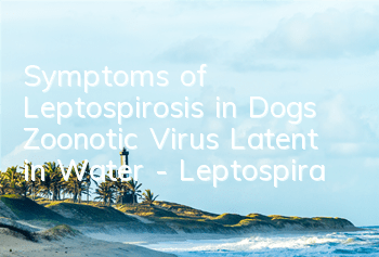 Symptoms of Leptospirosis in Dogs Zoonotic Virus Latent in Water - Leptospira
