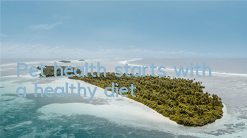 Pet health starts with a healthy diet