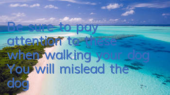 Be sure to pay attention to these when walking your dog! You will mislead the dog!